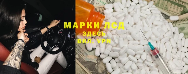 шишки Болотное