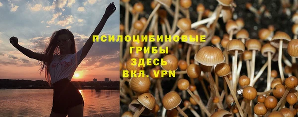бутират Алзамай