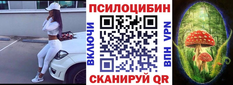 hydra ССЫЛКА Тосно Псилоцибиновые грибы мицелий